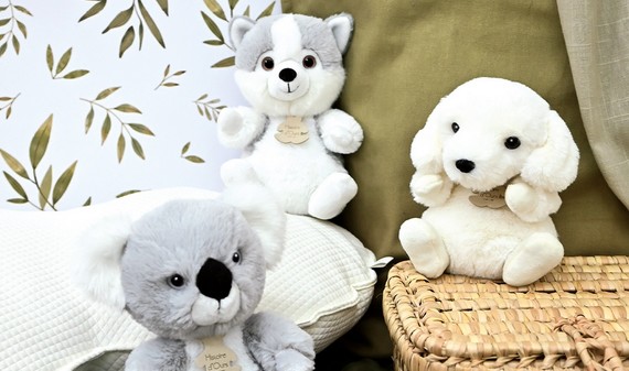image de la Collection 